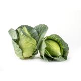 Spitzkohl