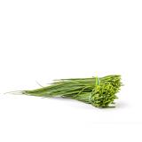 Kräuter Schnittlauch