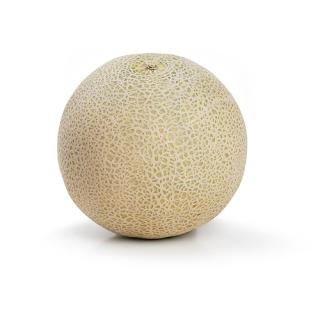 Melone Cantaloupe