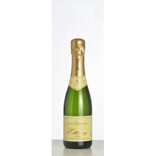 Elbling Sekt Brut weiß (V)