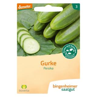 Freiland Gurke ''Persika'' Saatgut