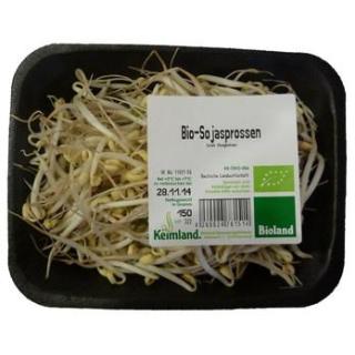 Mungbohnensprossen (Sojasprossen)