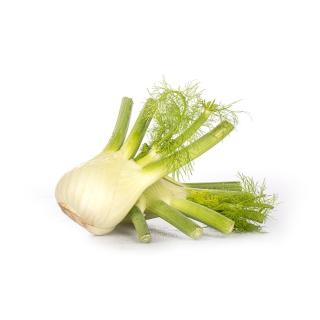Fenchel