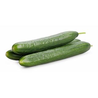 Gurke Schlangengurke
