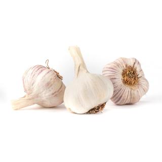 Knoblauch