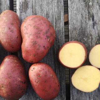 Kartoffeln rotschalig 5 kg vorw.festkochend Laura