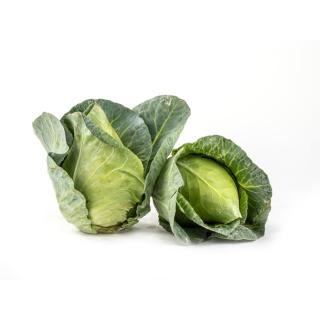 Spitzkohl