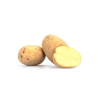 Kartoffeln mehlig 1,5 kg