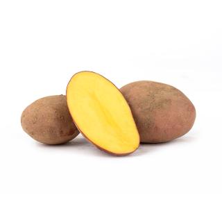 Kartoffeln rotschalig 1,5 kg vorw.festkochend Laura