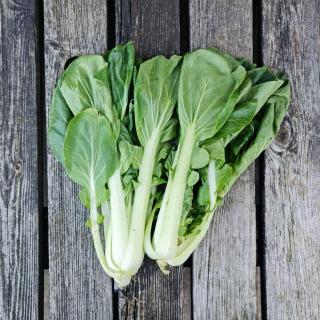 Pak Choi