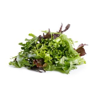 Schnittsalat