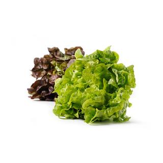 Salat der Woche