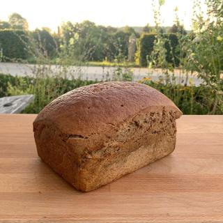 Bio-Graubrot
