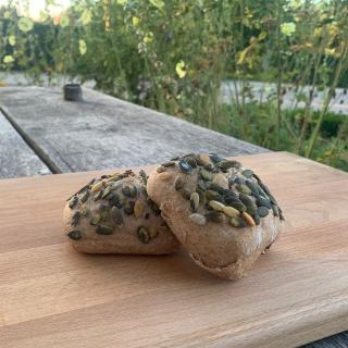 Dinkel/Kürbis-Brötchen