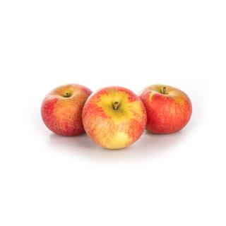 Apfel Discovery eigene Ernte