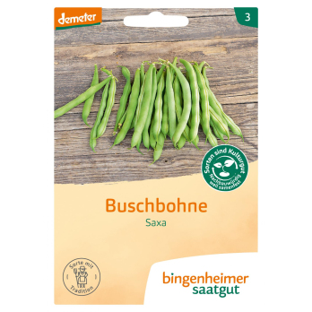 Buschbohne grün