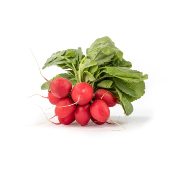 Radieschen