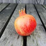 Granatapfel