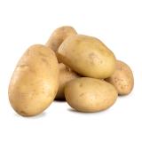 Frühkartoffeln Annabelle 1,5 kg