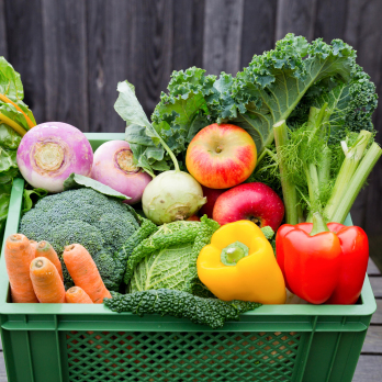 Zauberhafte Kindergarten-Kiste