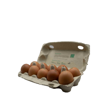 Set 10er Bio-Eier