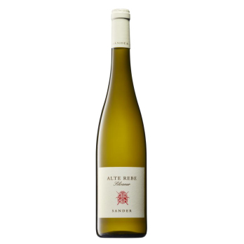 Silvaner Alte Rebe weiß (V)