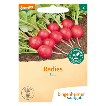 Radieschen ''Sora''