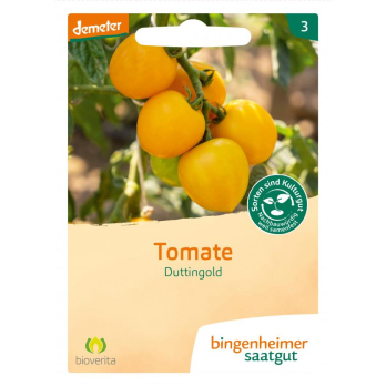 Tomate, gelb Duttingold