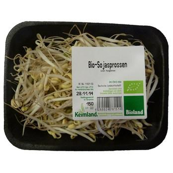 Mungbohnensprossen (Sojasprossen)