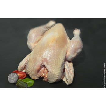 Hähnchen ca. 2 kg