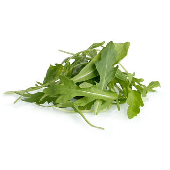 Rucola Salat