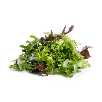 Schnittsalat