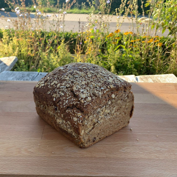 Möhren-Saatenbrot