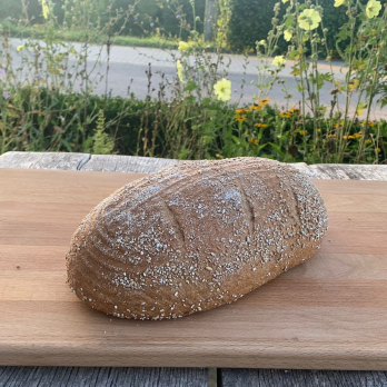Krustenbrot