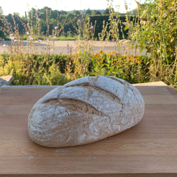 Grünkern/Möhre Brot