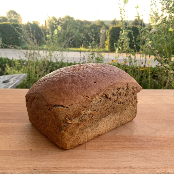 Bio-Graubrot