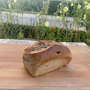 Rosinenstuten