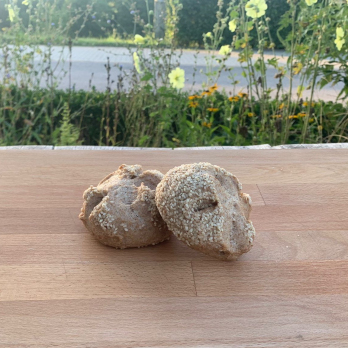 Sesambrötchen