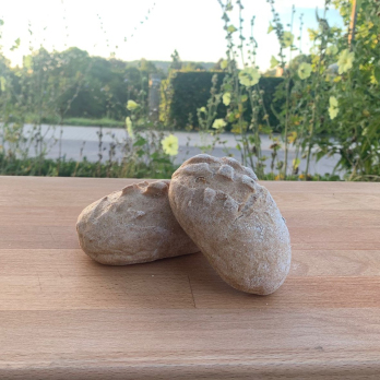 Dinkelsprossenbrötchen